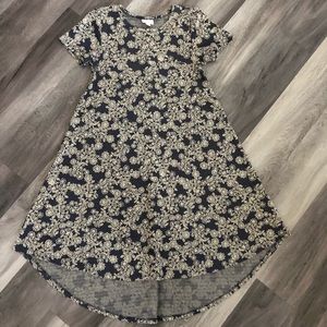 LuLaRoe Carly Dress